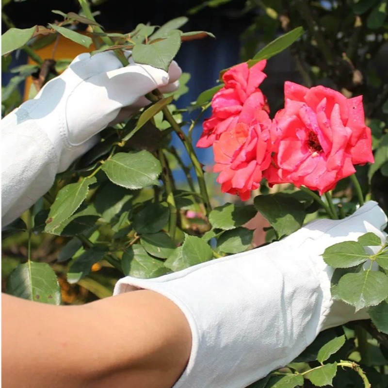 زوج من قفازات الحدائق المقاومة - مراجعة Gardening Glove Waterproof وسعره