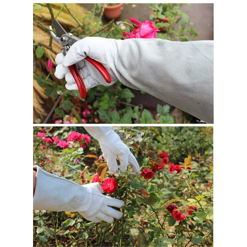 زوج من قفازات الحدائق المقاومة - مراجعة Gardening Glove Waterproof وسعره