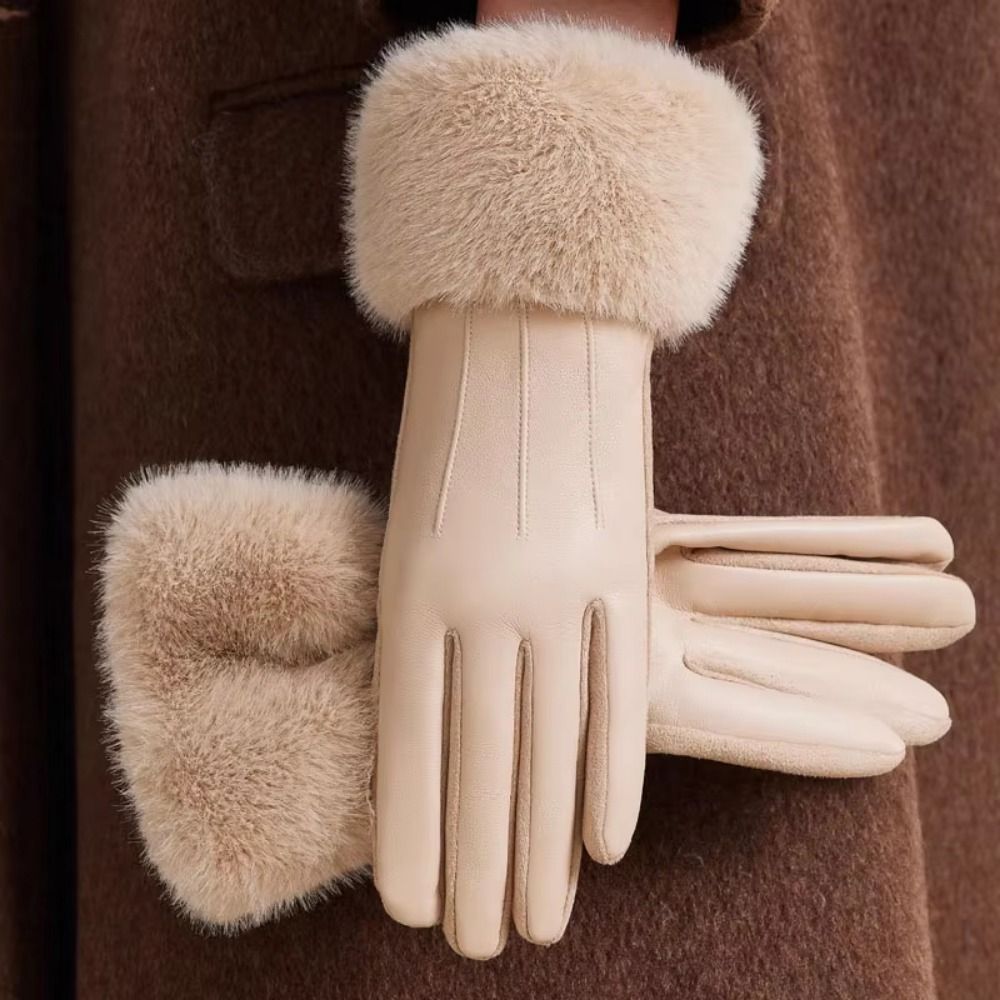 قفازات جلدية نسائية مبطنة حرار - مراجعة Winter Glove Insulated وسعره